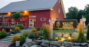 Unveiling the Secrets of Willow Spring Vineyard Haverhill: A Viticultural Tapestry 1 th 105