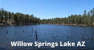 Unveiling Willow Spring, AZ: A Treasure Trove of Discoveries 4 th 129