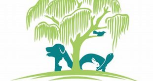 Unleashing the Power of Willow Springs Animal Rescue: Discover Unseen Truths 28 th 134