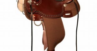 Unveiling the High Horse: A Journey Through Willow Springs Saddle Innovations 7 th 155