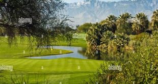 Discover the Enchanting Desert Oasis: Unveiling Desert Willow Palm Springs CA 4 th 164