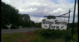 Unlock the Secrets of Willow Spring Farm: A Journey of Sustainable Agriculture and Community Engagement 1 th 169