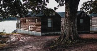 Uncover Hidden Gems and Local Insights: Your Guide to Willow Springs, Oklahoma 13 th 175
