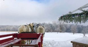 Discover the Enchanting World of Willow Springs Sleigh Rides 25 th 81