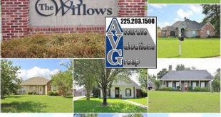 Unveiling the Enchanting World of The Willows Subdivision, Denham Springs: Discoveries and Insights 25 th 103