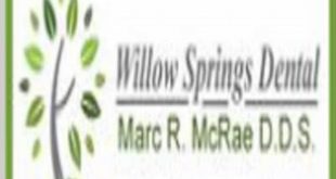 Discover the Secrets of Automotive Performance with Willow Springs Labs 28 th 55