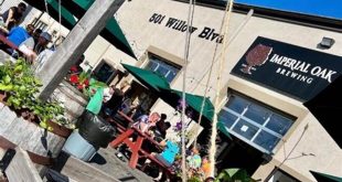 Unveil Willow Springs: A Craft Beer Haven Awaits 4 th 69