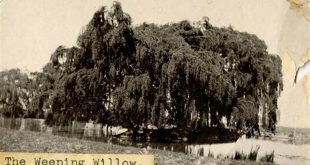 Unravel the Enchanting Tapestry of Willow Springs: A Journey Through History and Heritage 1 th 7