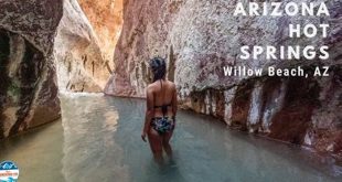 Unveiling the Gems of Willow Springs: Discover the Best Hotels and Local Delights 13 th 77