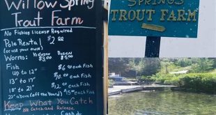 Unlock a World of Trout Fishing Delight at Willow Springs: Your Guide to an Unforgettable Experience 7 th 79