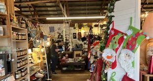 Uncover the Hidden Treasures of Bargain Barn Willow Spring NC 19 th 85