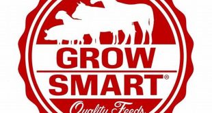 Discover the Secrets of "Grow Smart Willow Springs MO" for a Thriving Community 4 th 90