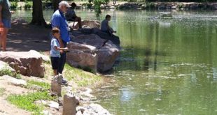 Unveil the Enchanting World of Willow Springs Pond 19 th 95