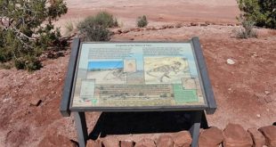 Journey Through Time: Uncover the Secrets of Willow Springs Dinosaur Tracks 13 th 97